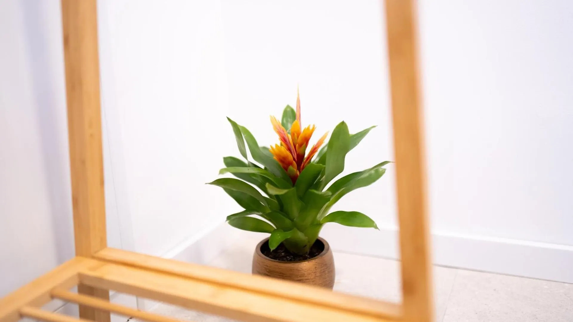 Premium Design Apartment With Balcony & Free Parking Vienna