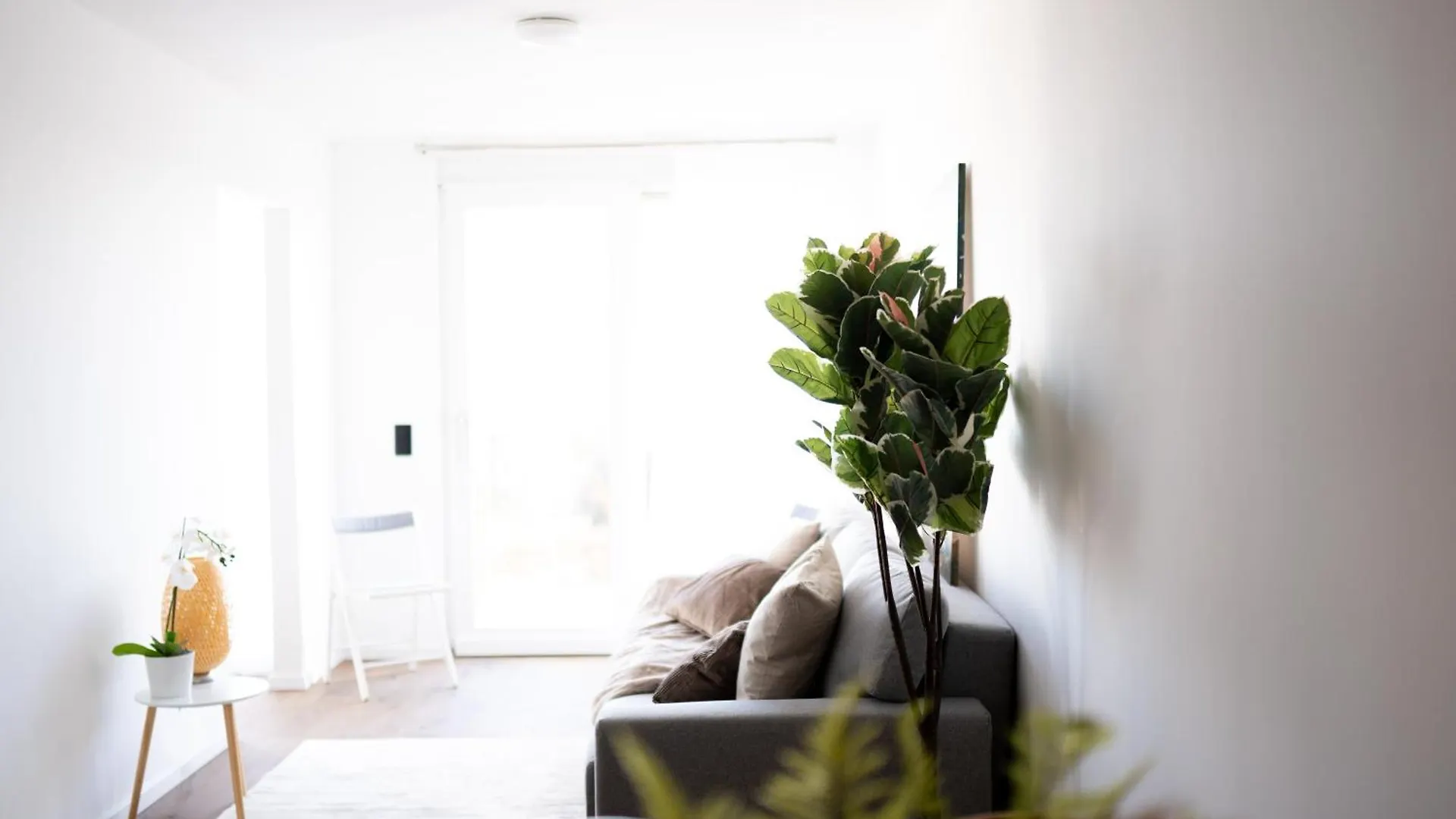 Premium Design Apartment With Balcony & Free Parking Vienna