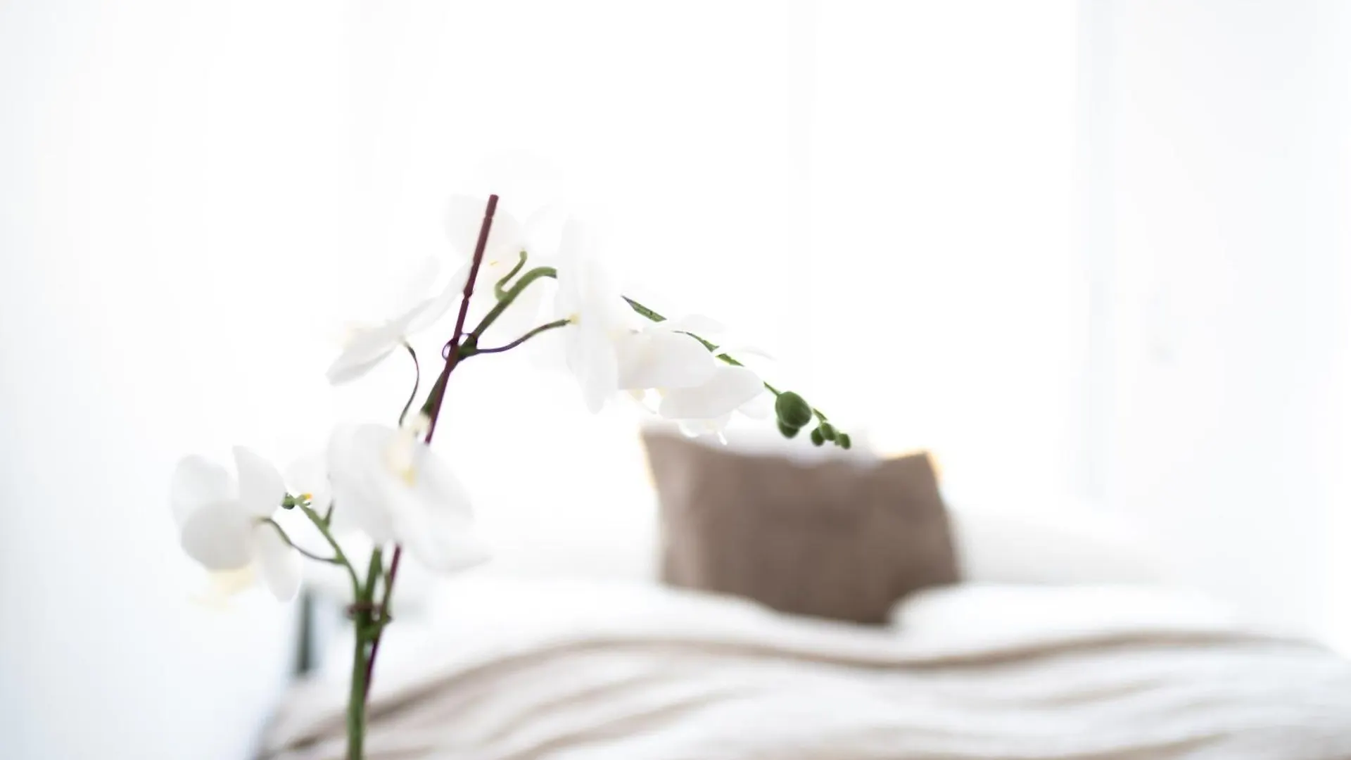 Premium Design Apartment With Balcony & Free Parking Vienna