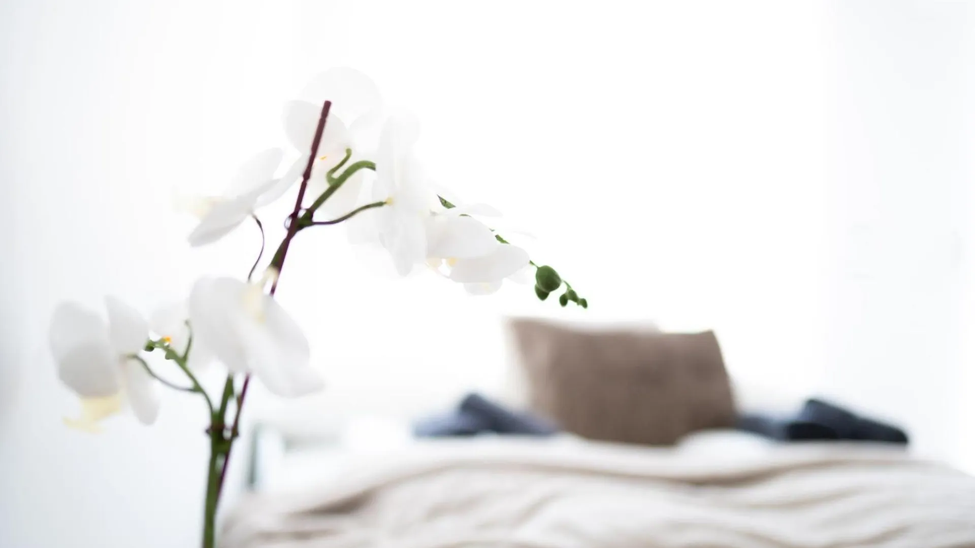 Premium Design Apartment With Balcony & Free Parking Vienna