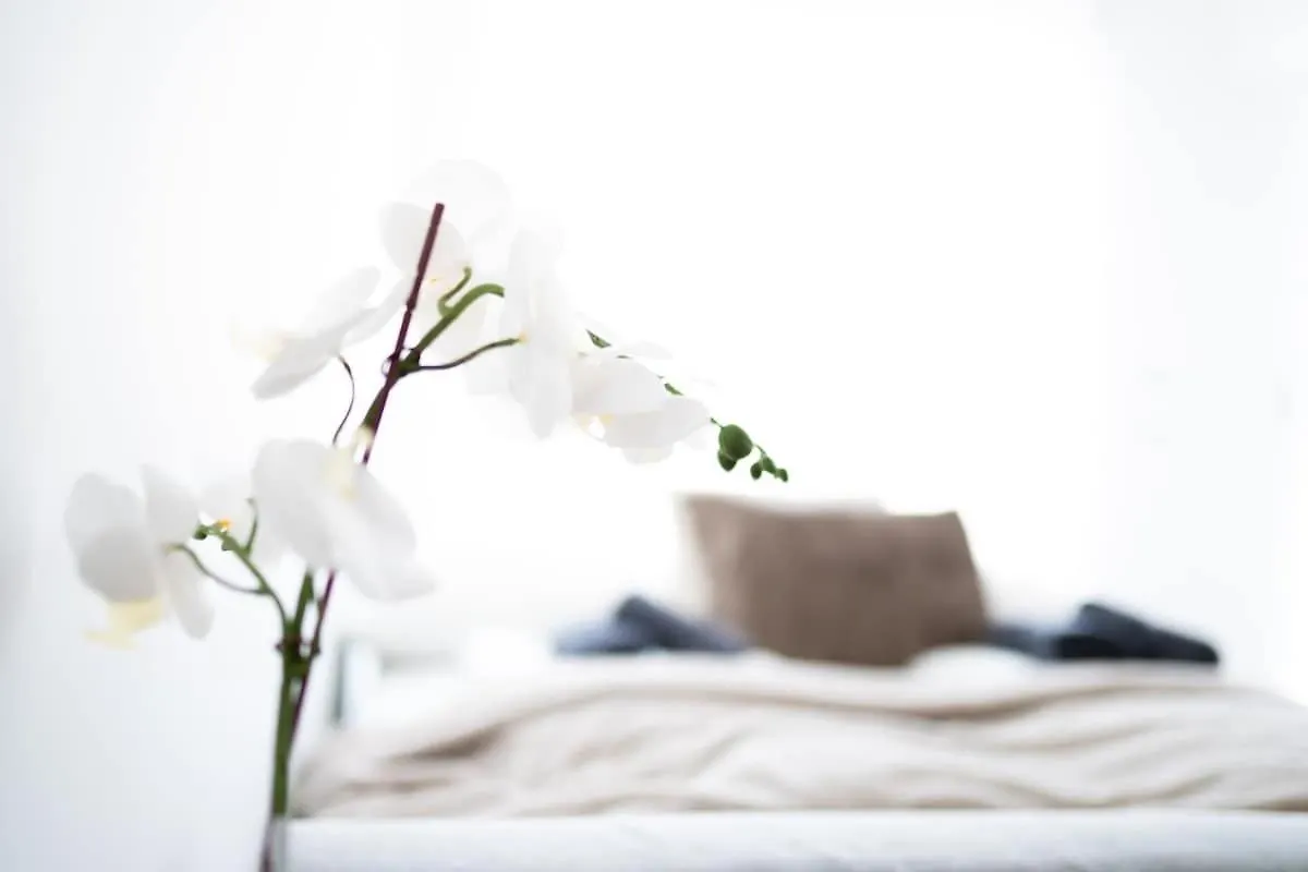 Premium Design Apartment With Balcony & Free Parking Vienna